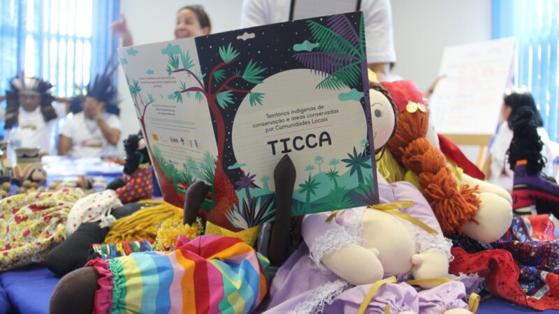 Em um país “pluridiverso”, encontro discute Territórios Indígenas e Áreas Conservadas por Comunidades Locais (TICCA)