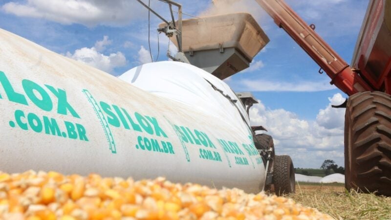 Com safra recorde, déficit de armazenamento de grãos volta a assombrar o setor