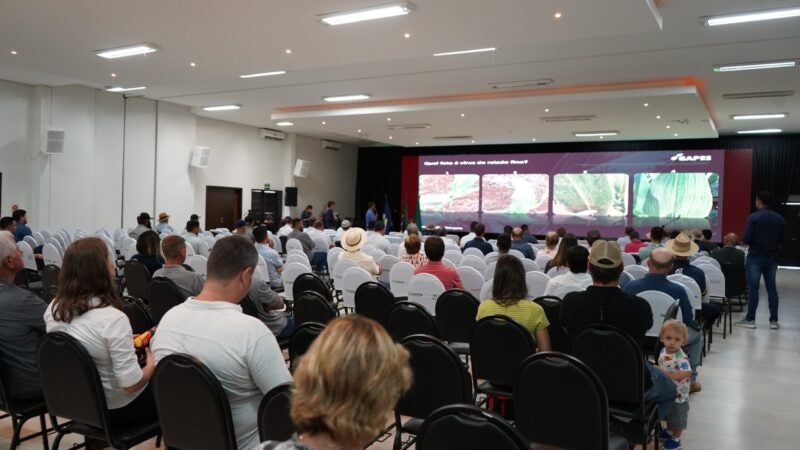 Palestras técnicas do Show Safra serão organizadas por cultivar