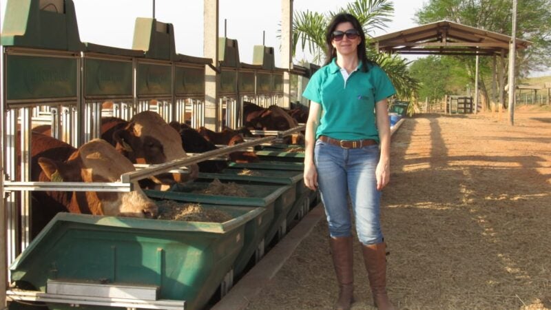 Há dez anos, provas de desempenho identificam os melhores animais da Casa Branca