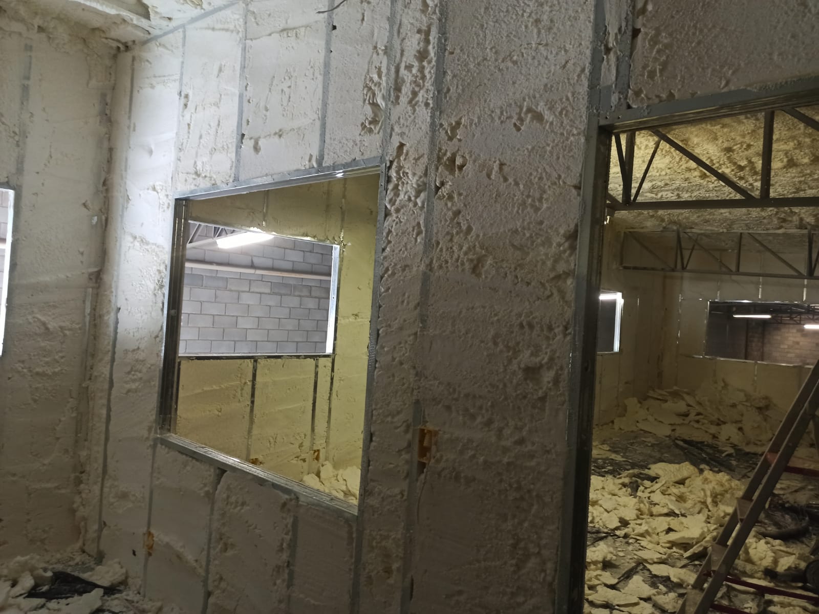 Da necessidade à evolução