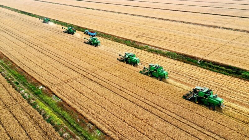 Agricultores podem obter dinheiro com juros a partir de 1,35% ao mês