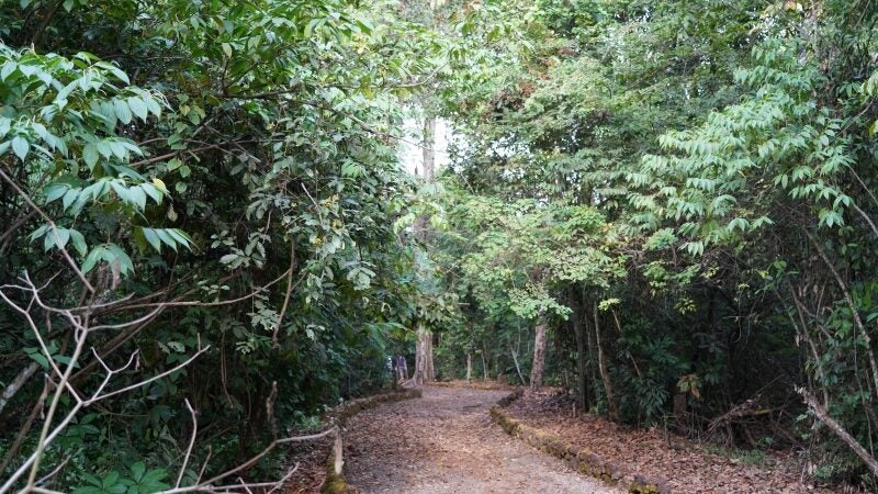 Município quer regulamentar área de preservação para revitalizar parque em Lucas do Rio Verde
