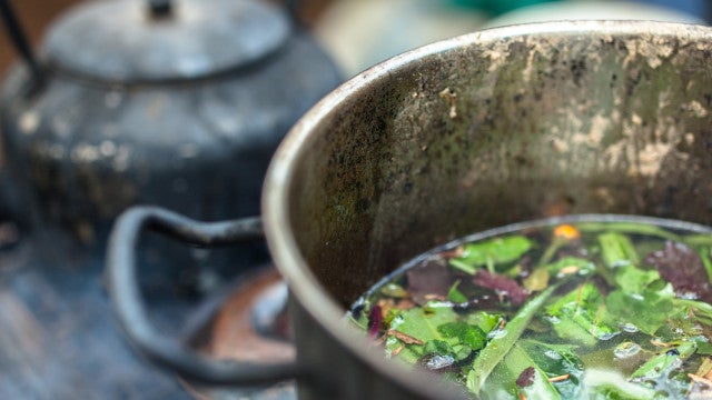 Religião que usa chá de ayahuasca vive crise após mestres cobrarem apoio a Bolsonaro e a golpe