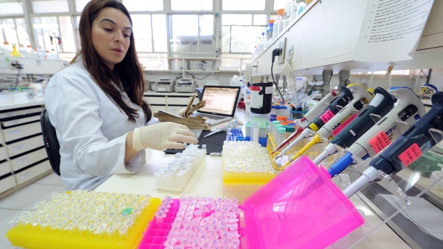 Embrapa testa bioinsumo para aumentar produção de lúpulo no Brasil