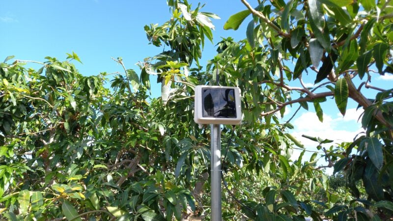 Startup de tecnologia inédita gera recomendações de manejo com foco na agricultura preditiva