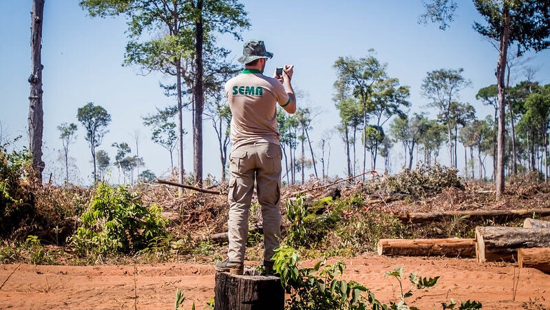 No radar de desmatamento, Mato Grosso obtém melhor resposta de fiscalização do país