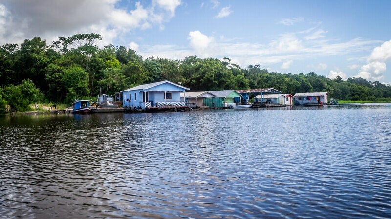 Projeto apoiado pelo Fundo JBS pela Amazônia seleciona negócios da floresta para aceleração e investimento de até R$ 600 mil
