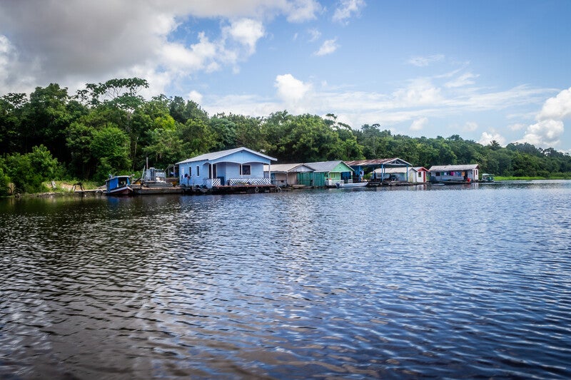 Projeto apoiado pelo Fundo JBS pela Amazônia seleciona negócios da floresta para aceleração e investimento de até R$ 600 mil