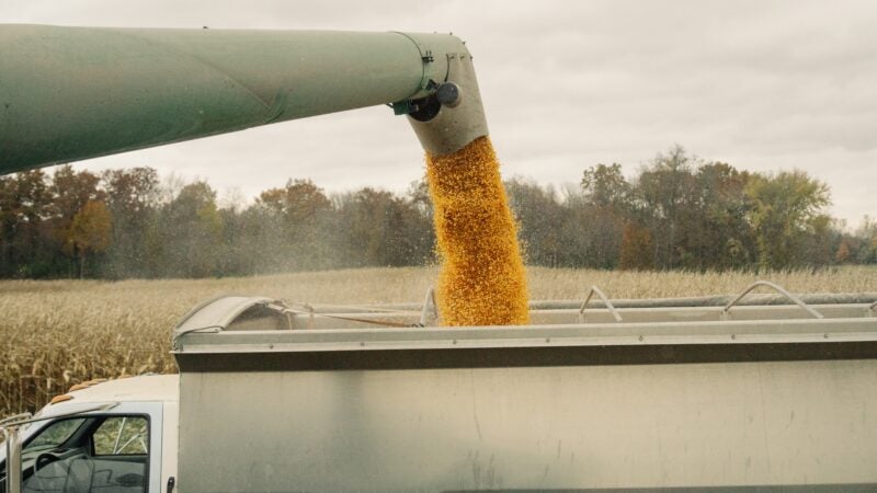A corrida por frete começou e embarcadores precisam se preparar