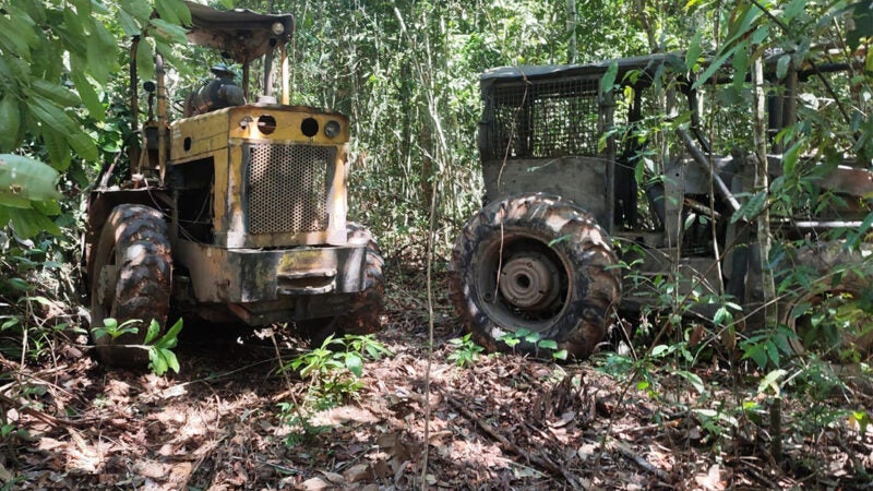 Governador lança na próxima 3ª operação Amazônia para combate ao desmatamento ilegal em Mato Grosso