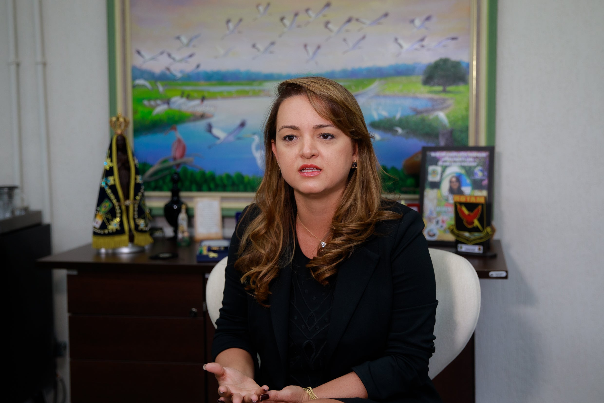 Secretária destaca “força total” e mais de 30 equipes para combater o desmatamento ilegal em Mato Grosso