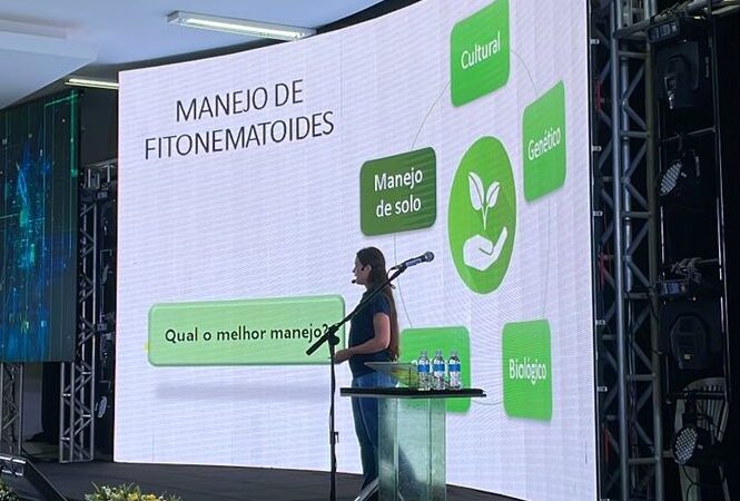 Debate sobre os desafios e oportunidades do algodão abre programação de palestras no Show Safra 2023