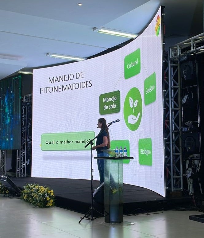 Debate sobre os desafios e oportunidades do algodão abre programação de palestras no Show Safra 2023