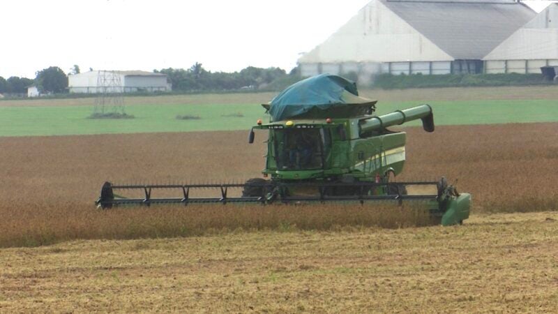 Mato Grosso tem produção recorde de sojá e ultrapassa 40 milhões de toneladas