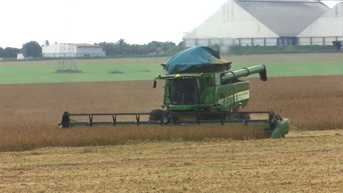 Mato Grosso tem produção recorde de sojá e ultrapassa 40 milhões de toneladas