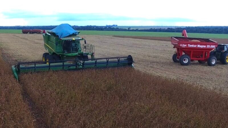 Colheita da soja em Mato Grosso se aproxima do final com produtividade de 61 sacas/hectare