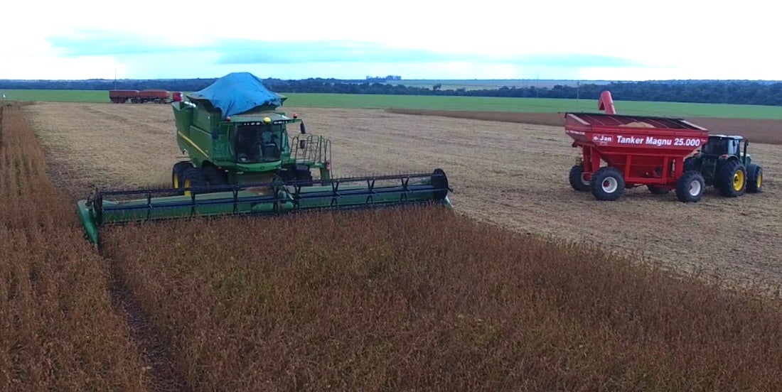 Colheita da soja em Mato Grosso se aproxima do final com produtividade de 61 sacas/hectare