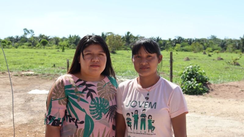 Além de fortalecer cadeias de valor, mulheres contribuem para manter a floresta em pé