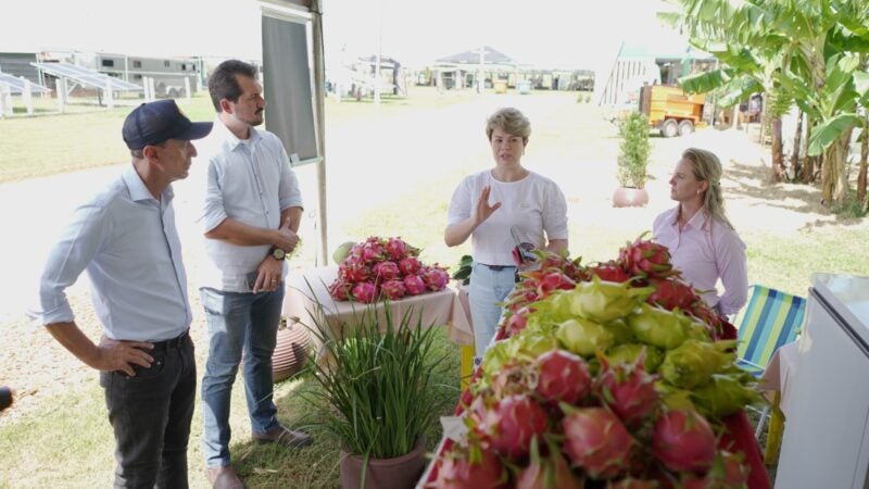 Show Safra 2023: iniciativa amplia exposição e comercialização de produtos da agricultura familiar