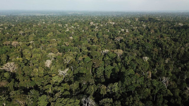 IBGE calcula que território do Brasil é 72,231 km² maior que o estimado anteriormente