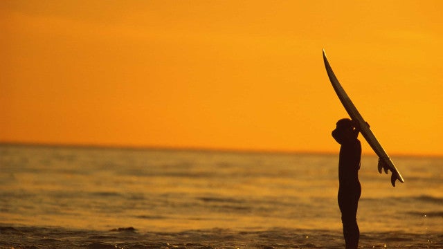 Surfistas relatam ‘clima de terror’ por novos ataques de tubarões em Recife