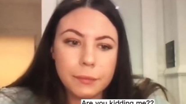 Cão interrompe importante reunião virtual ao vomitar e vídeo viraliza