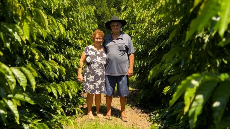 Investimento do Governo de MT impulsiona produtores de café do estado