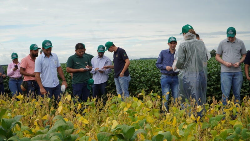 Evento técnico norteia o setor para a próxima safra de soja