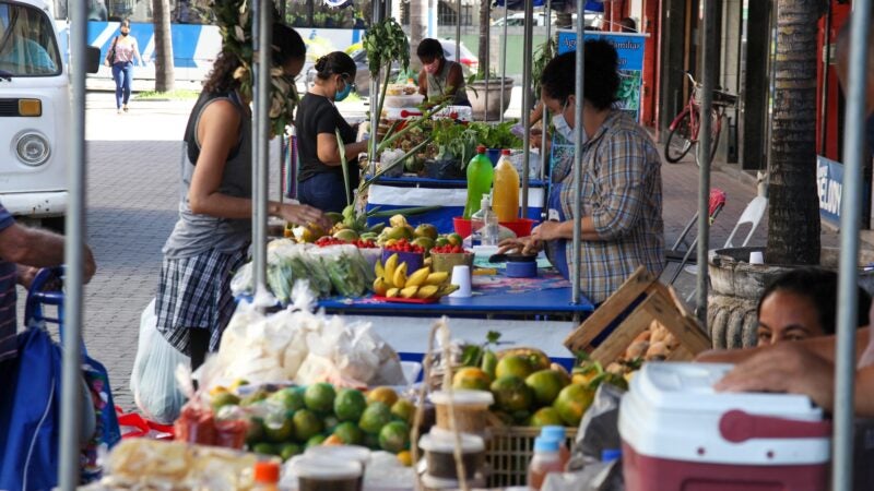 Feira de gastronomia e agricultura em Guarantã do Norte inicia este mês
