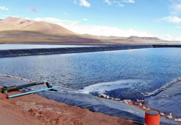 Acompanhamento técnico evita multas e prejuízos no campo