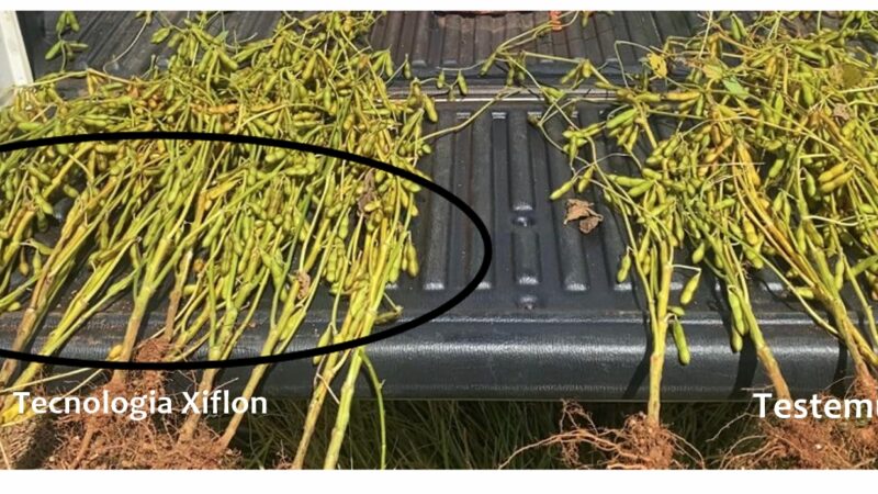 Tecnologia da Harvest Agro é destaque em publicação internacional