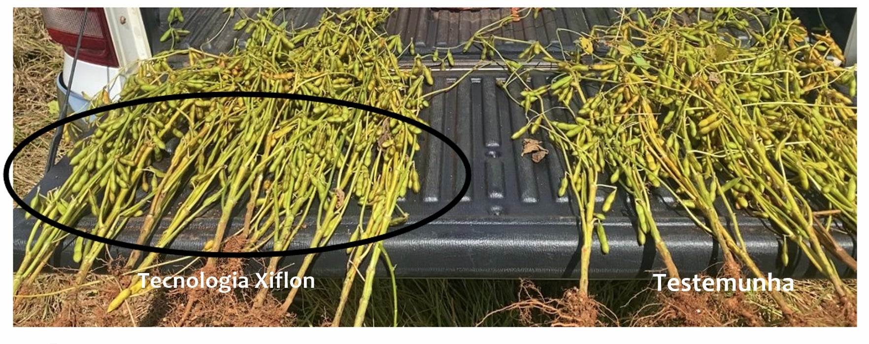 Tecnologia da Harvest Agro é destaque em publicação internacional