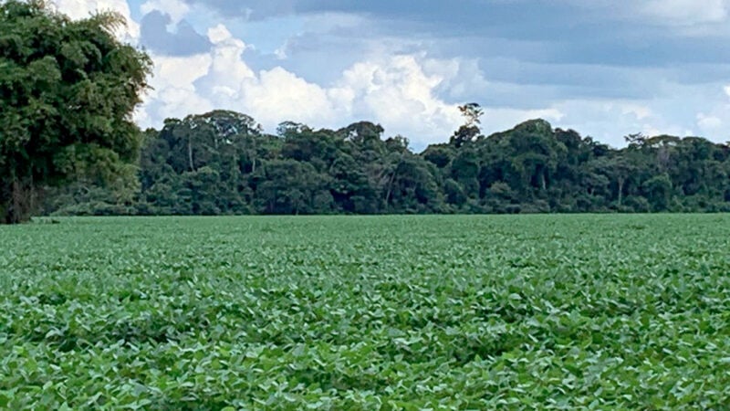 Valor da produção da soja em Mato Grosso aumenta 5,7% e chega a R$ 110,2 bilhões