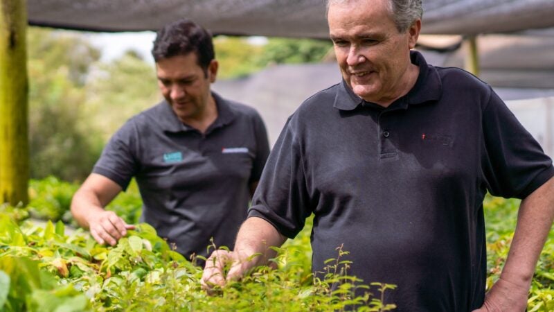 Multinacional alemã investe R$500 mil no reflorestamento da Mata Atlântica em iniciativa pioneira