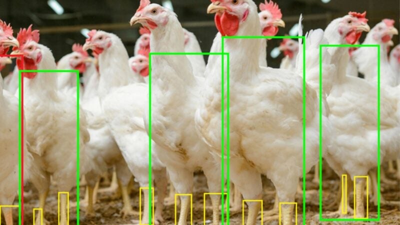 Sinop: acadêmicos da UFMT são selecionados no programa de bolsas ao empreendedorismo
