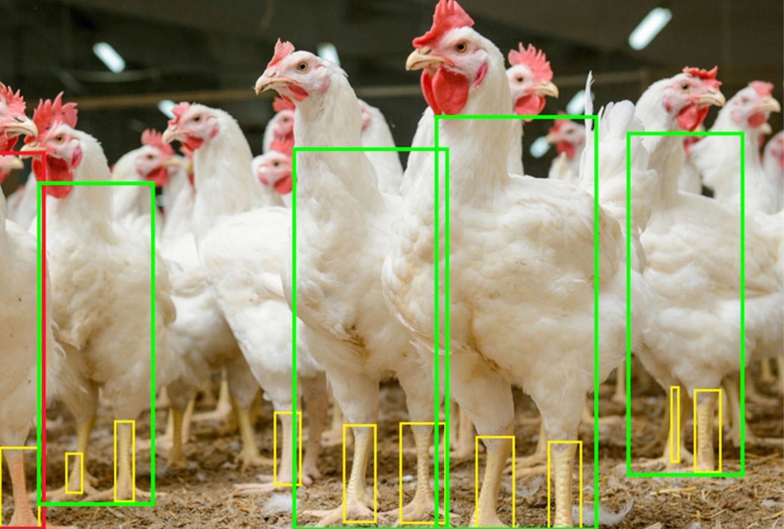 Sinop: acadêmicos da UFMT são selecionados no programa de bolsas ao empreendedorismo