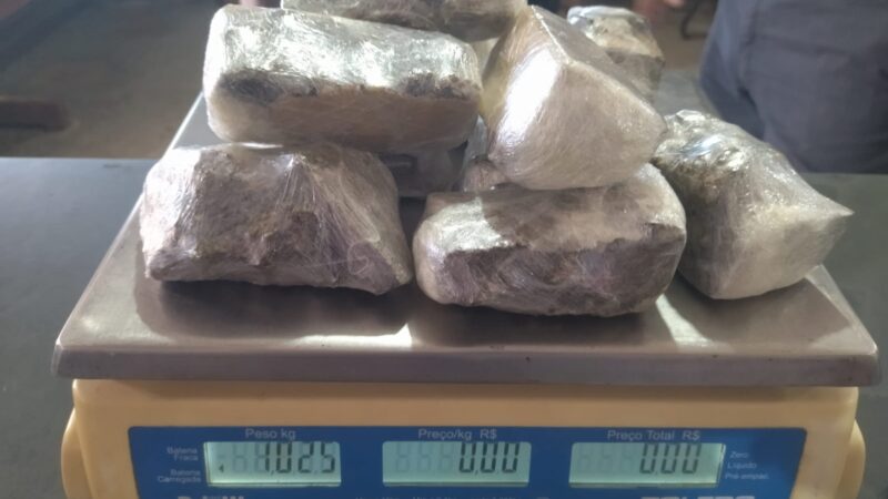 Vinte mulheres são presas tentando entrar com documentos falsos na PCE