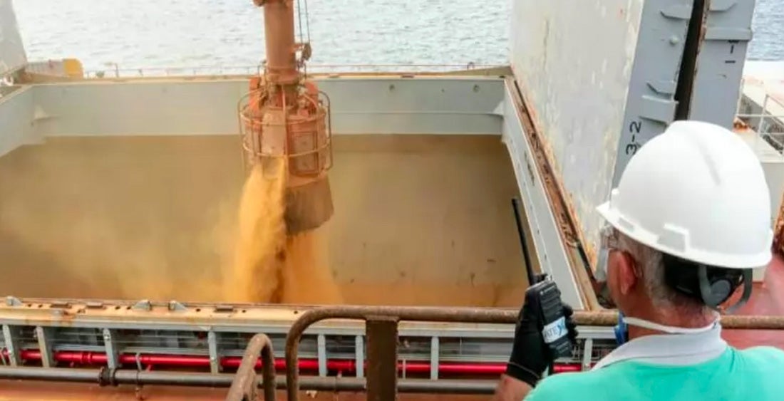 Exportação de soja de Mato Grosso cresce 2,8%