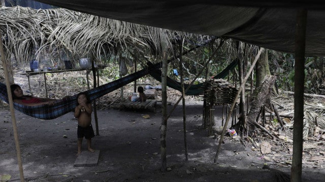 Grilagem digital: metade de área indígena no PA foi registrada em nome de engenheiro