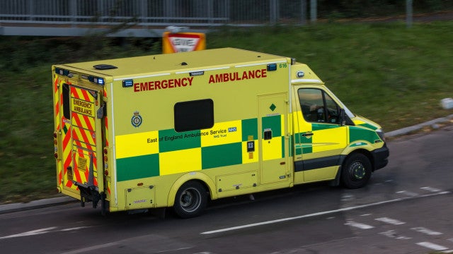 Cão rói dedo do pé do dono "até o osso" e pode ter salvo sua vida