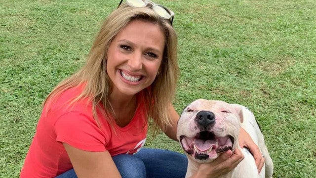 Instituto Luisa Mell muda de nome e diz que apresentadora nunca fez doações à entidade