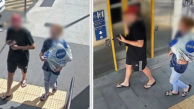 Polícia australiana condena homem que roubou ornitorrinco