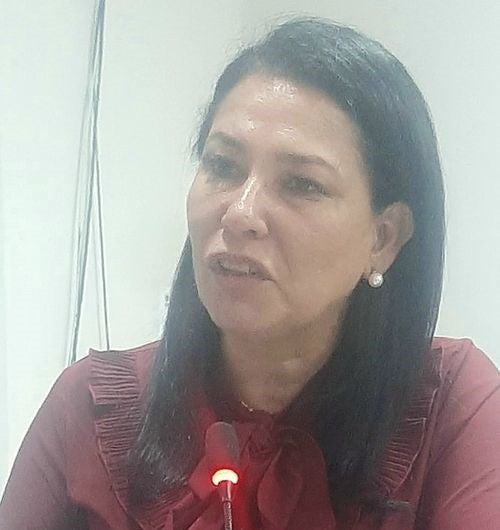 Vereadora Sandra solicita implantação de tubos na estrada que dá acesso a comunidade aliança