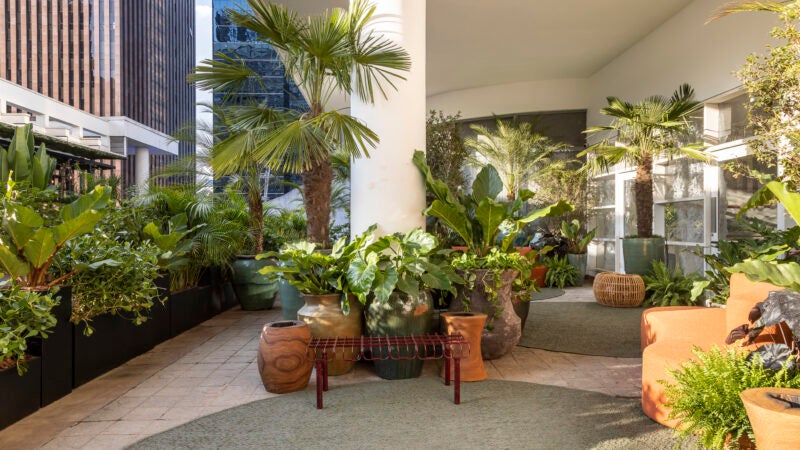 No Mirante Paulista, de Catê Poli e João Jadão para a CASACOR São Paulo, peças de design orgânico integram o jardim fluído e surpreendente