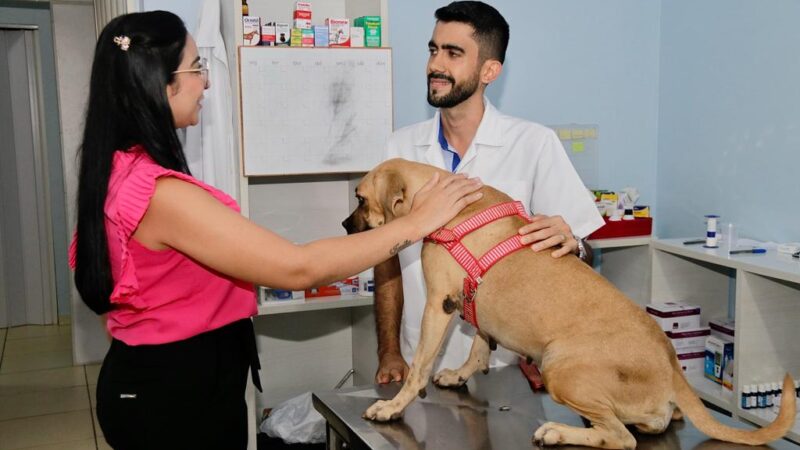 PELA PRIMEIRA VEZ NA HISTÓRIA DO MUNICÍPIO A PREFEITURA DE COLÍDER REALIZA CASTRAÇÃO DE CÃES E GATOS RESGATADOS DAS RUAS POR VOLUNTÁRIOS E ONGS