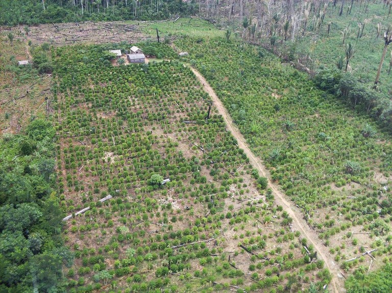 AGU consegue bloquear R$ 21 milhões de fazendeiro que desmatou 1,5 mil hectares em Mato Grosso