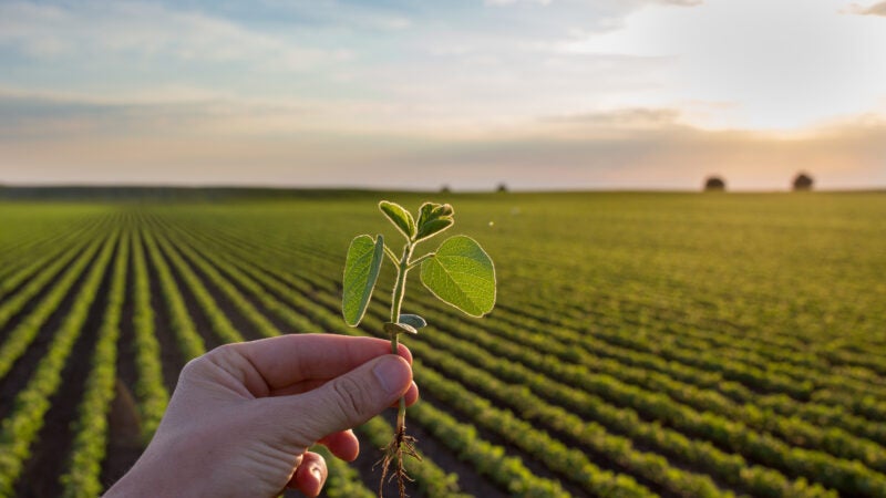 Laboratório de tecnologia de aplicação será destaque na Copacol Agro 2023