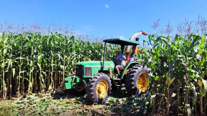 Secretaria auxilia pequenos produtores em Nova Mutum com ensilagem