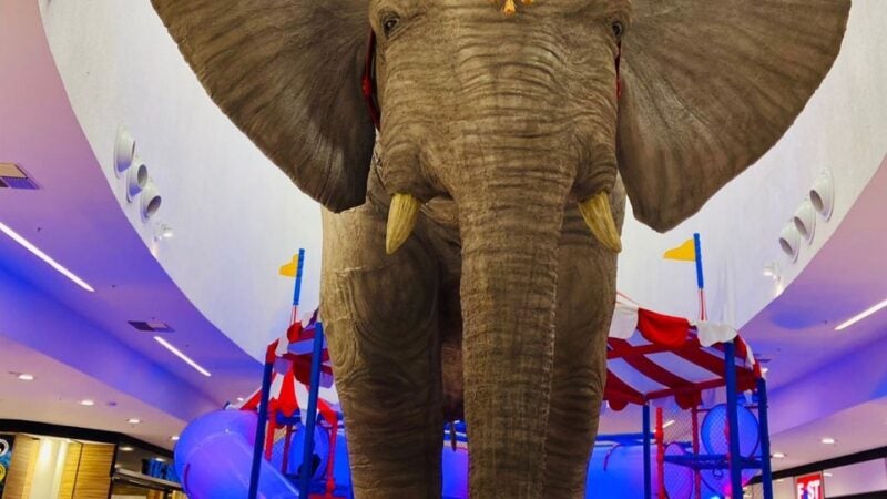 SHOPPING SINOP: Nova operação de entretenimento infantil oferece 50% de desconto para criança PCDs